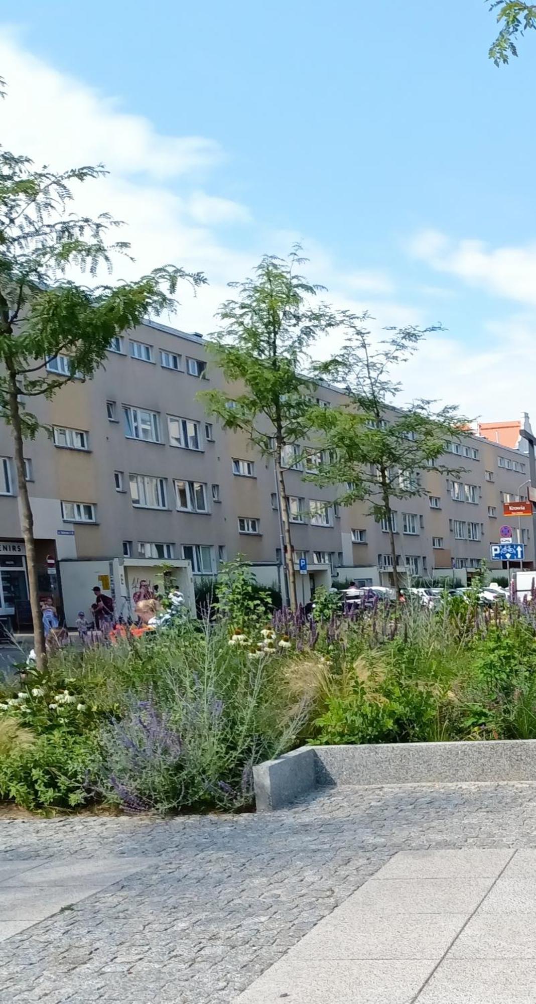 Kotlarska Apartment 브로츠와프 외부 사진