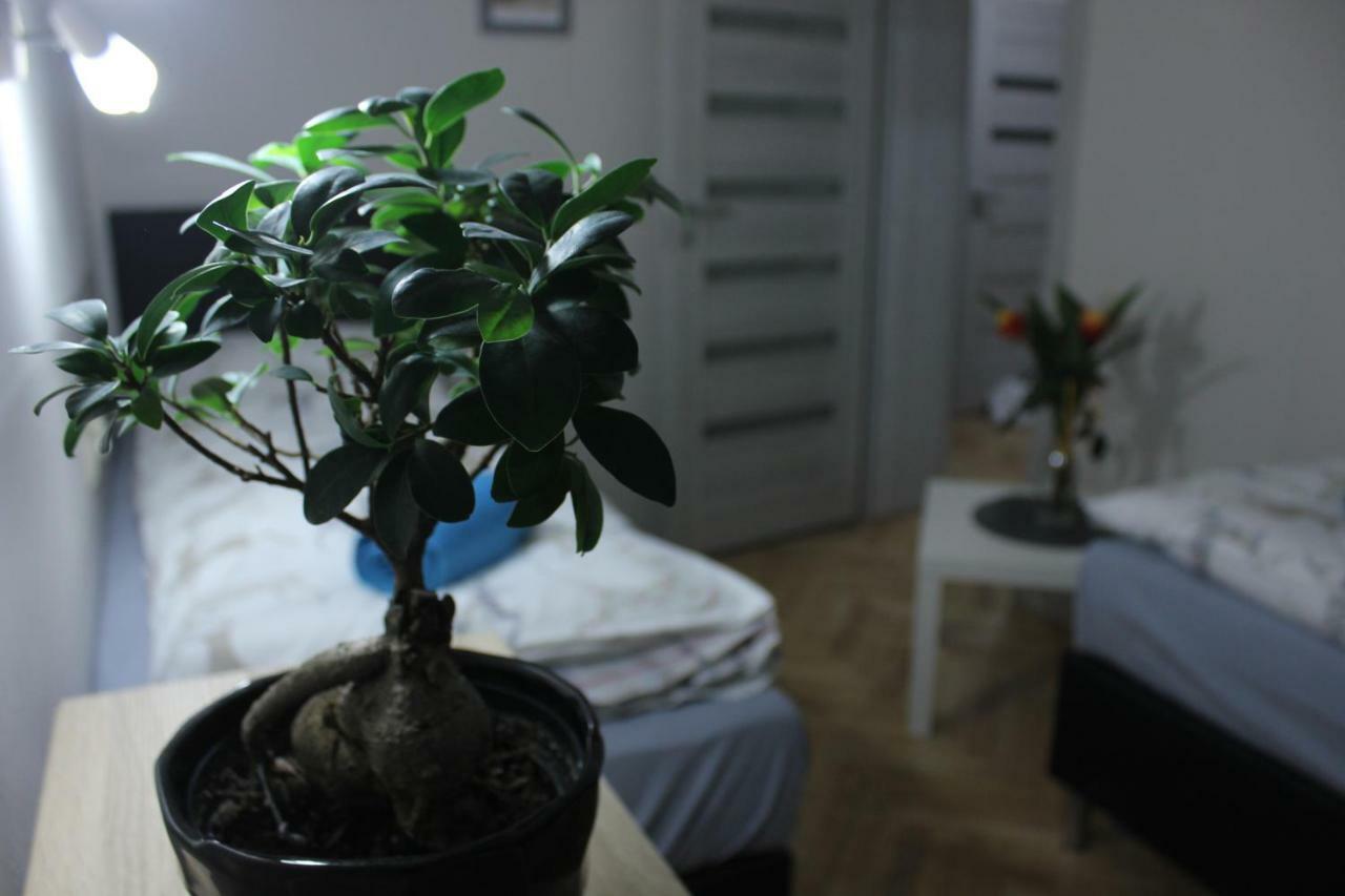 Kotlarska Apartment 브로츠와프 외부 사진